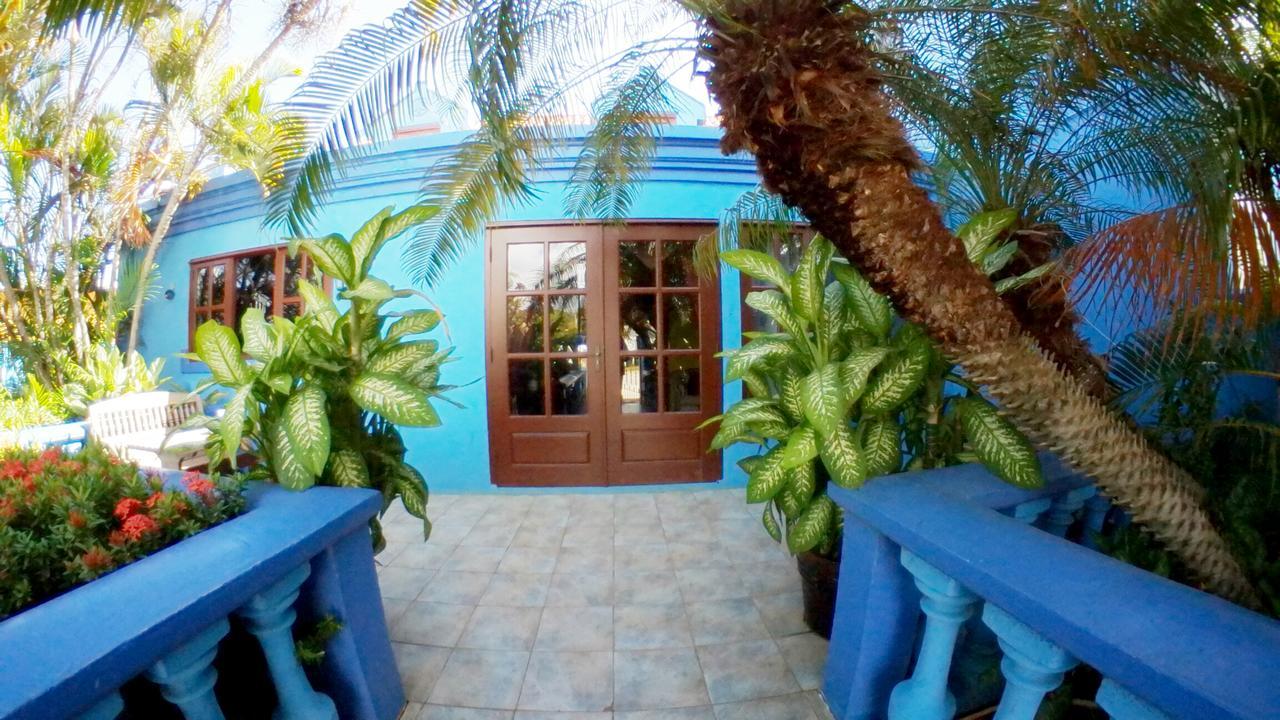 De Cuba Bed & Breakfast Ноорд Экстерьер фото